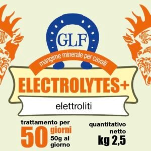ELECTROLYTES