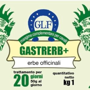 GASTRERB