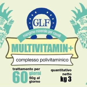 MULTIVITAMIN